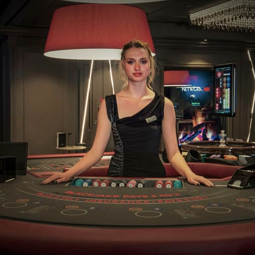 casino mighty rex