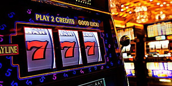 zamsino no deposit bonus