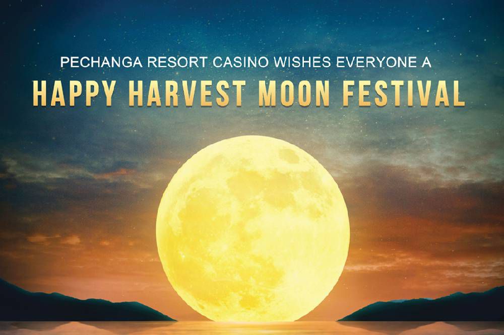 play'n go casino no deposit bonus 2019