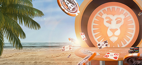 Wild Dice UK bonuses