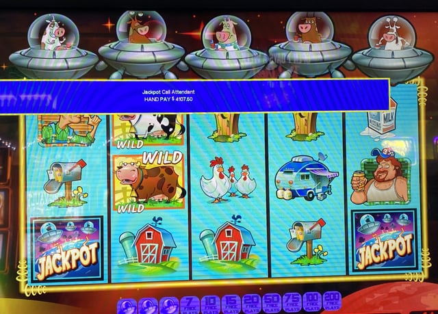 pet master free spin uk